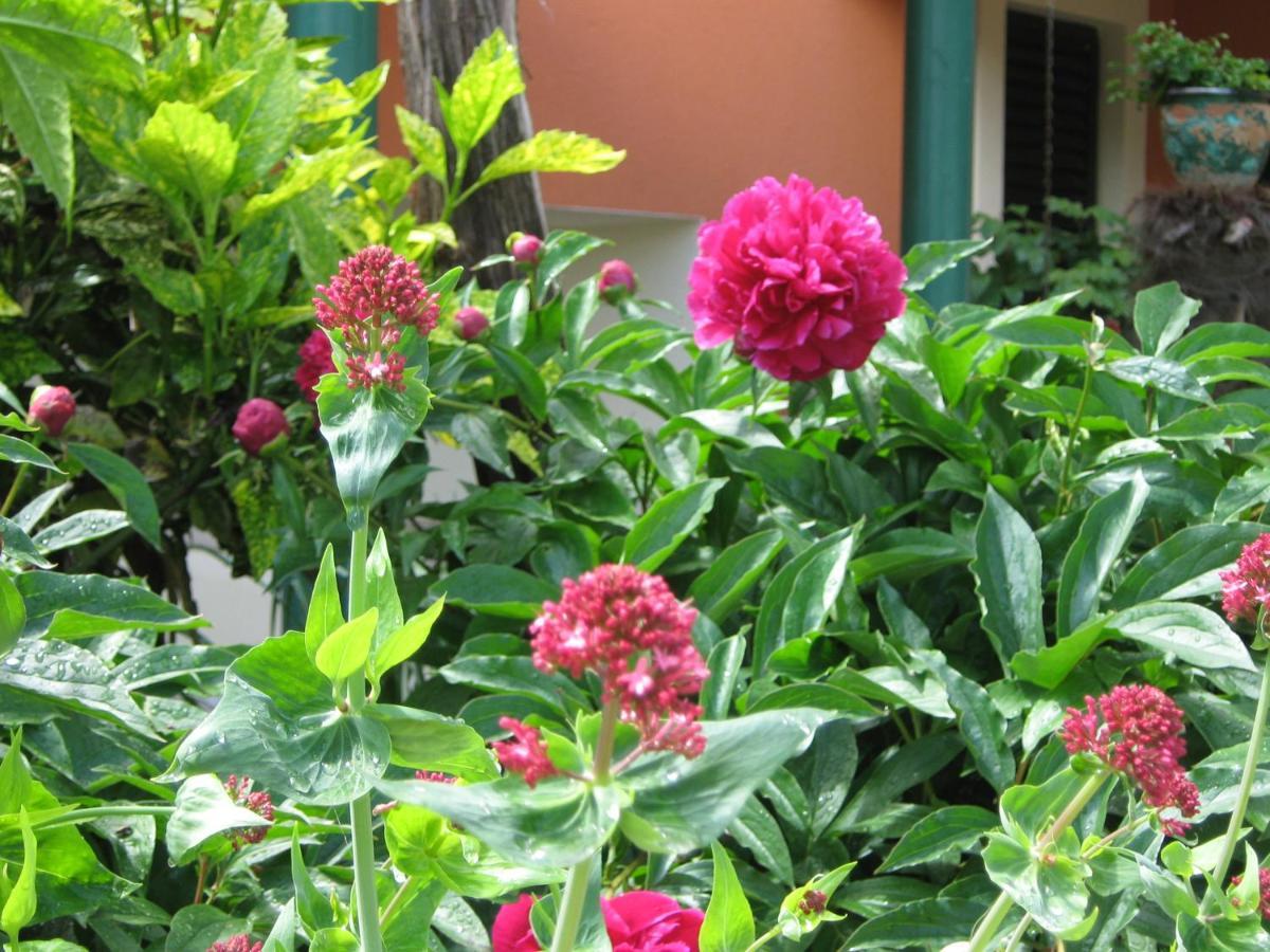 Guest House Bizjak Vinkuran Luaran gambar