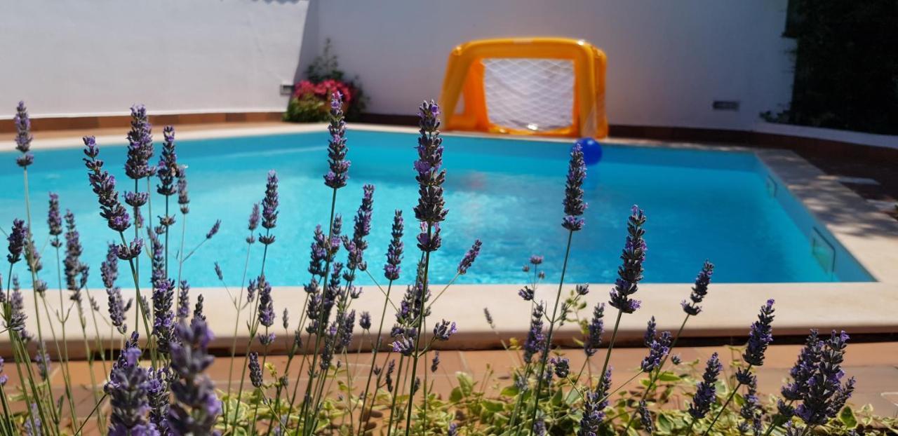 Guest House Bizjak Vinkuran Luaran gambar