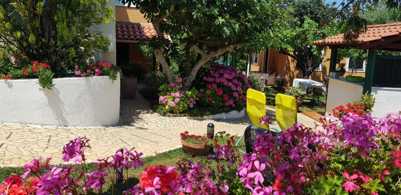 Guest House Bizjak Vinkuran Luaran gambar