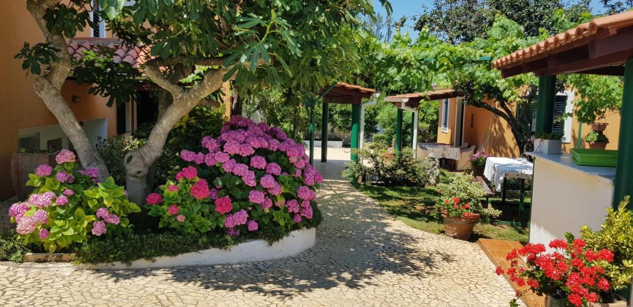 Guest House Bizjak Vinkuran Luaran gambar