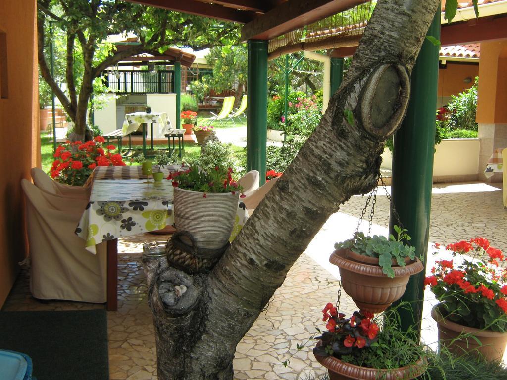 Guest House Bizjak Vinkuran Luaran gambar